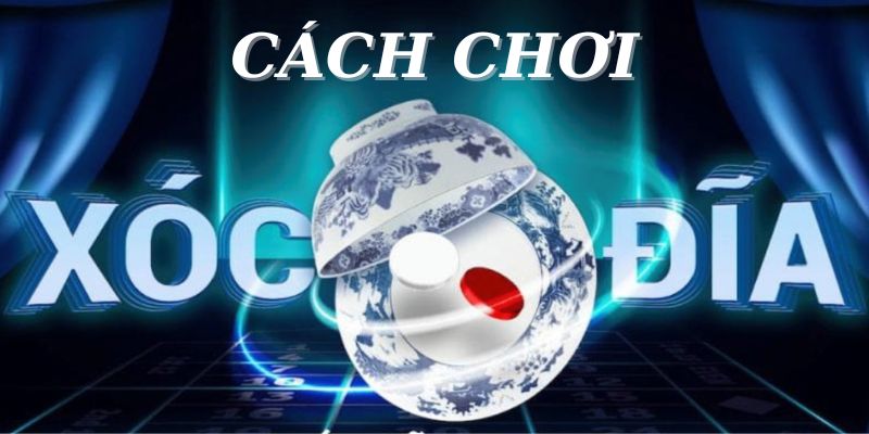 Hướng Dẫn Cách Chơi Xóc Đĩa Tăng Cơ Hội Thắng Cao Cho Tân Binh