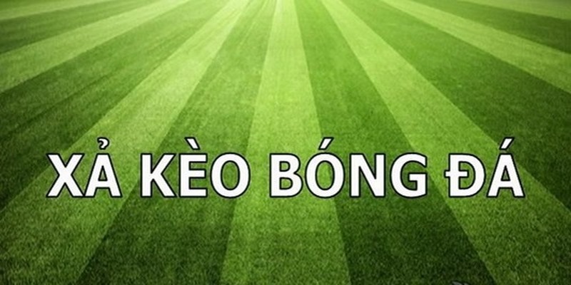 Xả Kèo Bóng Là Gì? Những Lưu Ý Xả Kèo Để Hiệu Quả Nhất